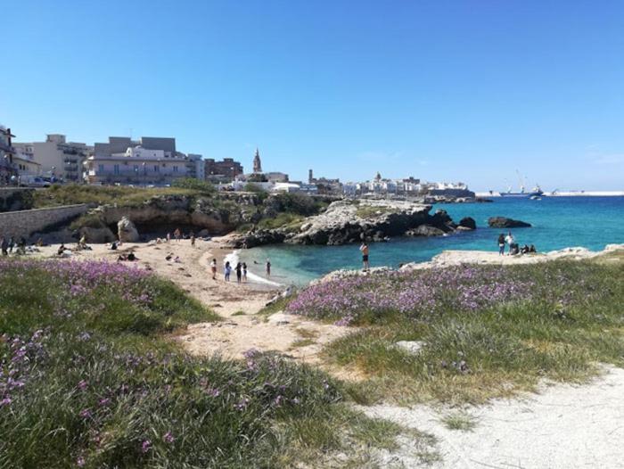 Eco Del Mare Locazioni Turistiche Apartment Monopoli Ngoại thất bức ảnh