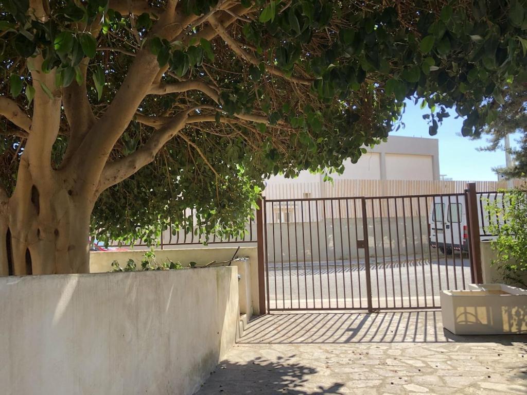 Eco Del Mare Locazioni Turistiche Apartment Monopoli Ngoại thất bức ảnh